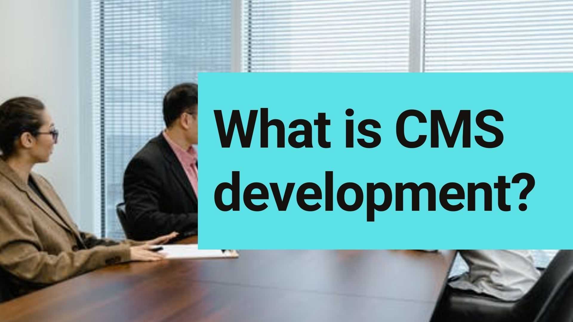 What is CMS development?